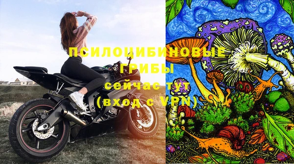 бошки Алексеевка
