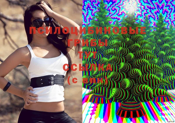 бошки Алексеевка
