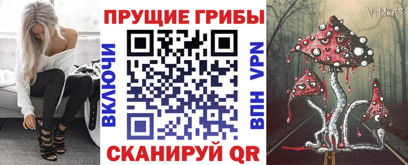 где купить наркоту  Киселёвск  Псилоцибиновые грибы прущие грибы 